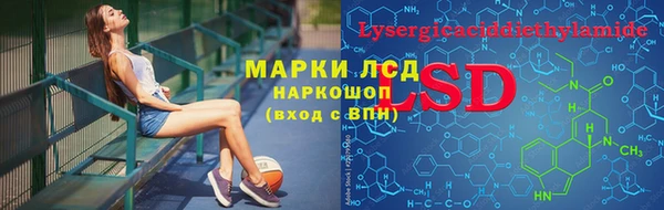 СК Вяземский