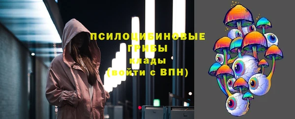 СК Вяземский