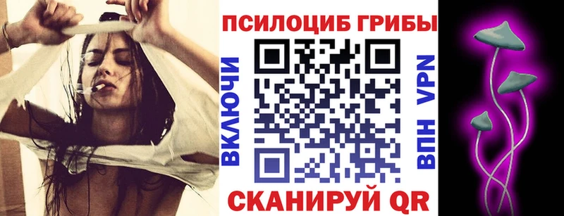 Псилоцибиновые грибы Magic Shrooms  Купить  Котельники 
